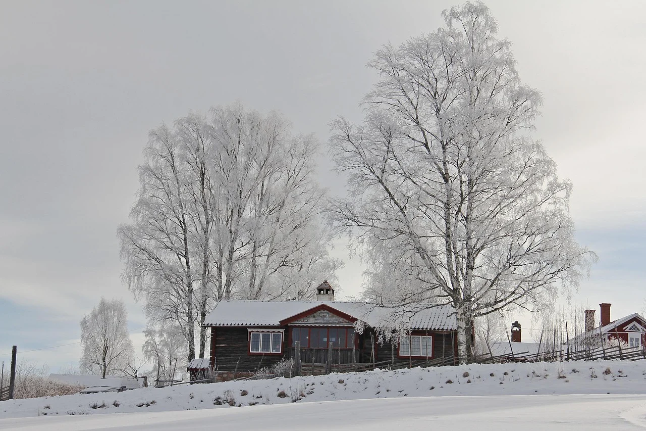 Vivienda unifamiliar rodeada de nieve y árboles en invierno, ejemplo de hogar expuesto a riesgos derivados del frío y las heladas.