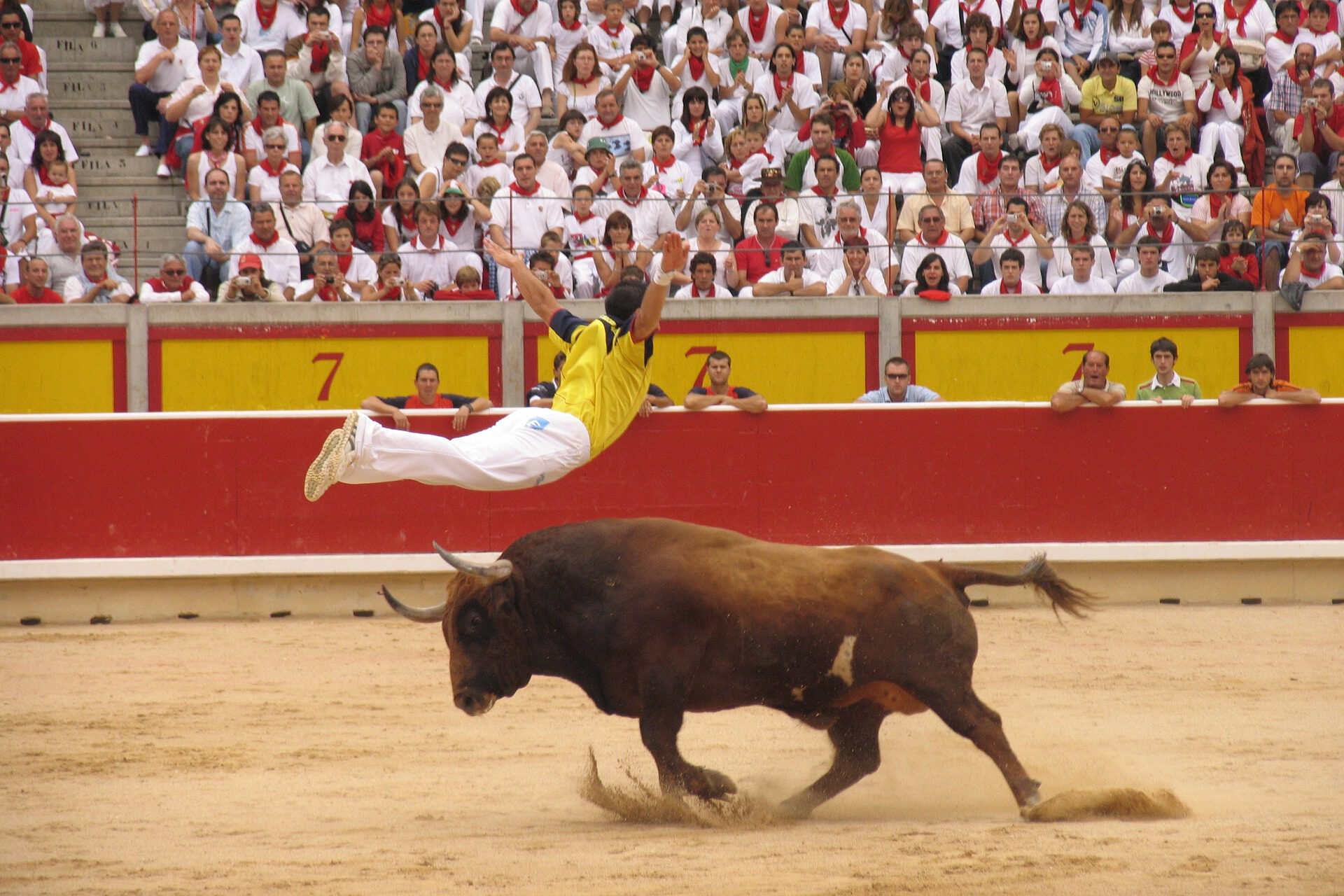 Seguro de Festejos Taurinos. Un Joven salta sobre un toro en una plaza abarrotada.