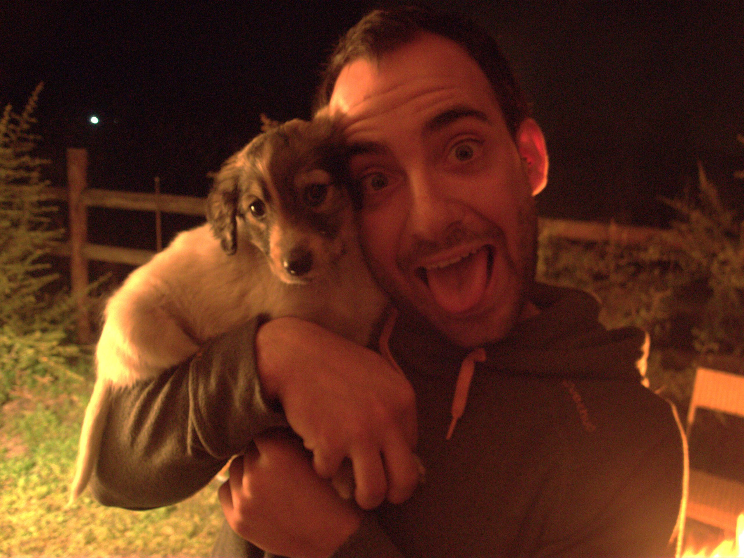 Dos perros sacando la lengua.