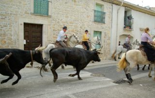 Unos jinetes a caballo llevan al toro negro corriendo por las calles.