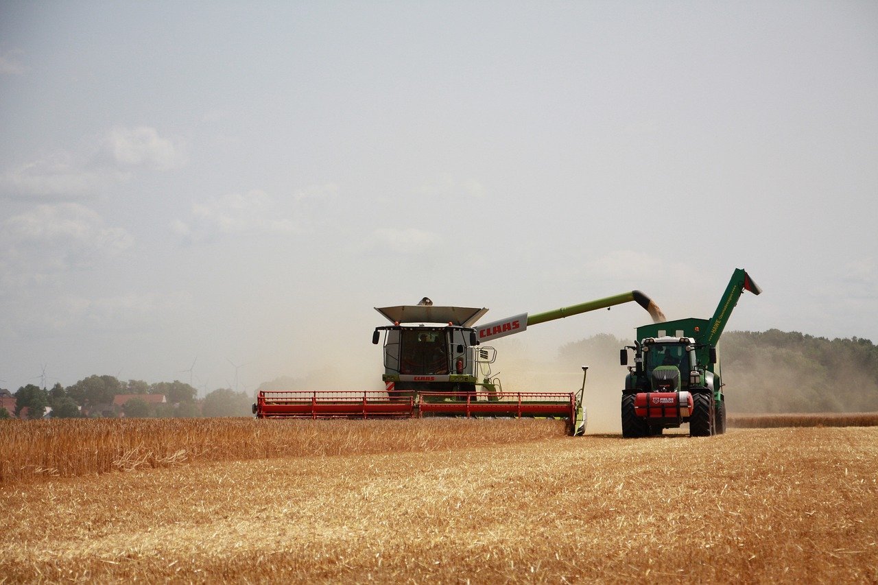 Una cosechadora y un tractor recogiendo trigo. Seguro por días para coche, moto, furgoneta, camión, autocaravana, maquinaría agrícola, embarcaciones, etc.