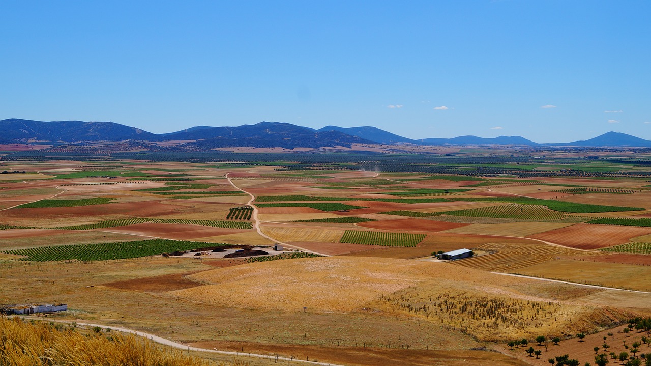 Vista de las zonas rurales de la Mancha, vulnerables ante sequías prolongadas, que afectan la disponibilidad de agua para la agricultura y el ganado. El papel de los seguros después de una catástrofe natural. Revisa tus seguros para estar preparado para los desastres naturales. 