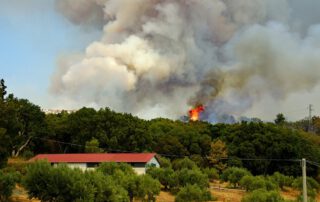Zonas de bosque quemándose cerca de casas y naves. El papel de los seguros después de una catástrofe natural. Revisa tus seguros para estar preparado para los desastres naturales.