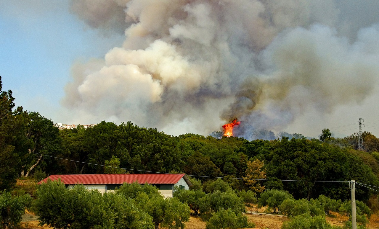 Zonas de bosque quemándose cerca de casas y naves. El papel de los seguros después de una catástrofe natural. Revisa tus seguros para estar preparado para los desastres naturales.