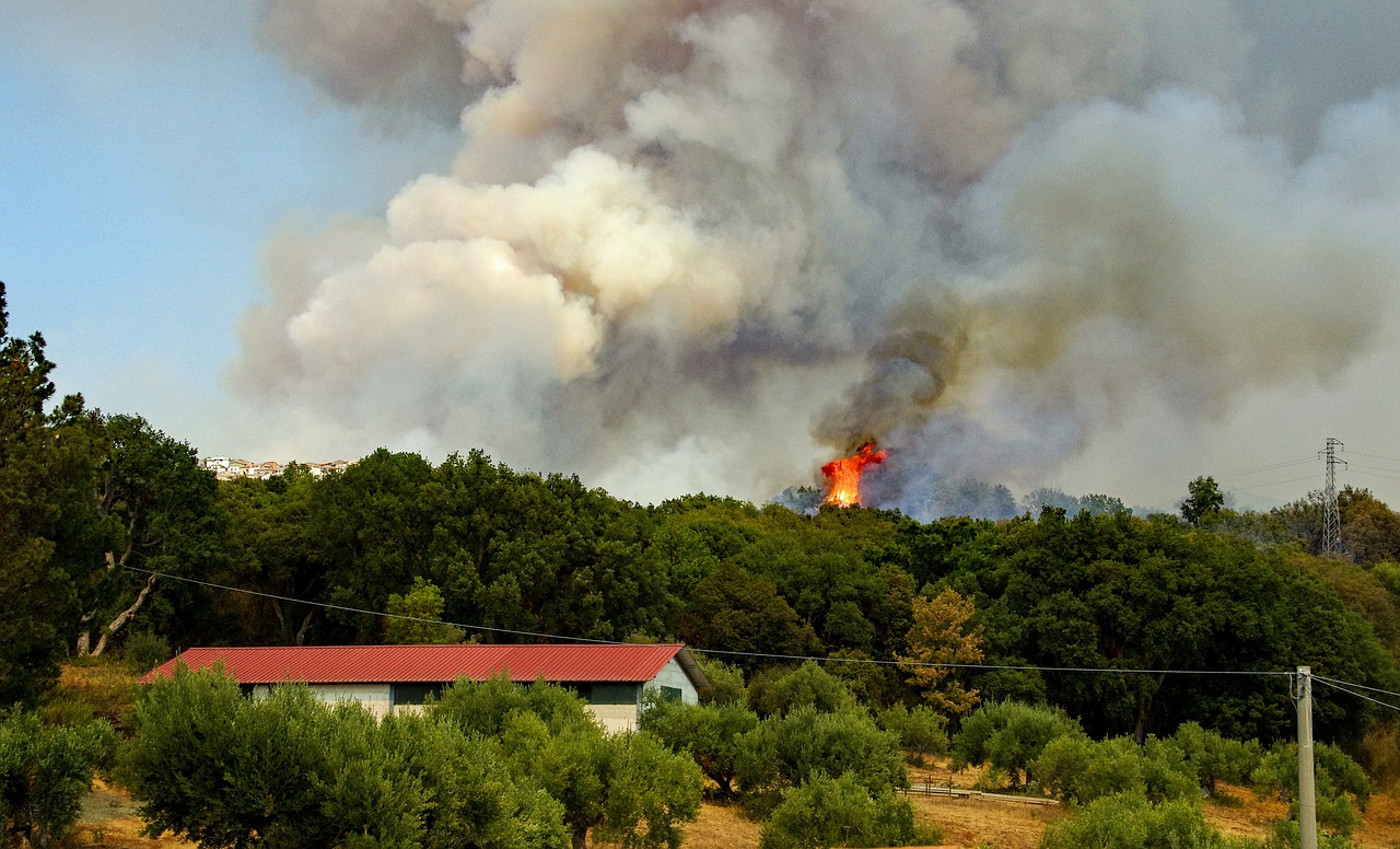 Zonas de bosque quemándose cerca de casas y naves. El papel de los seguros después de una catástrofe natural. Revisa tus seguros para estar preparado para los desastres naturales. 