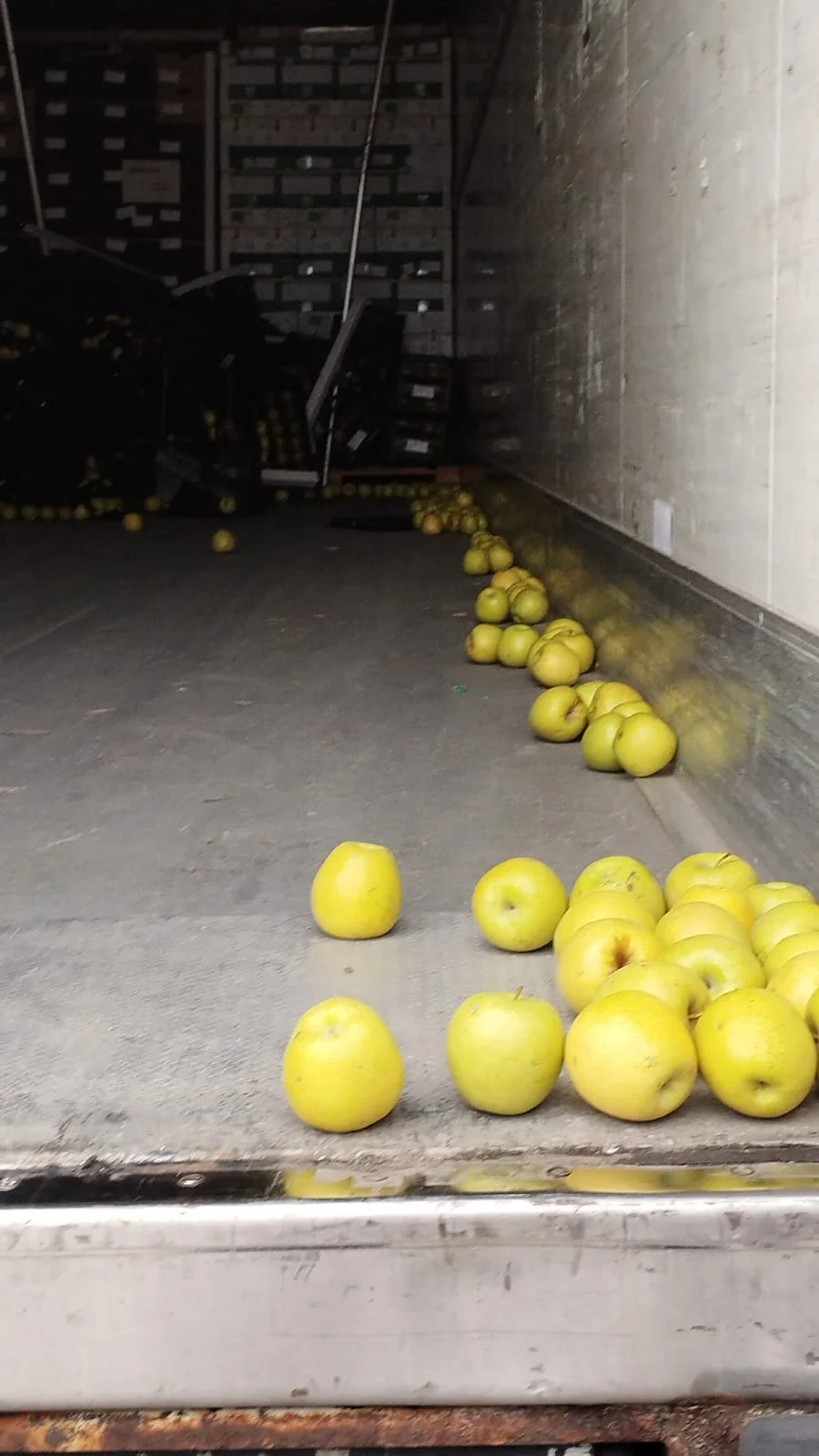 El seguro de transporte de mercancías es esencial para proteger la carga y asegurar la continuidad de los negocios. 