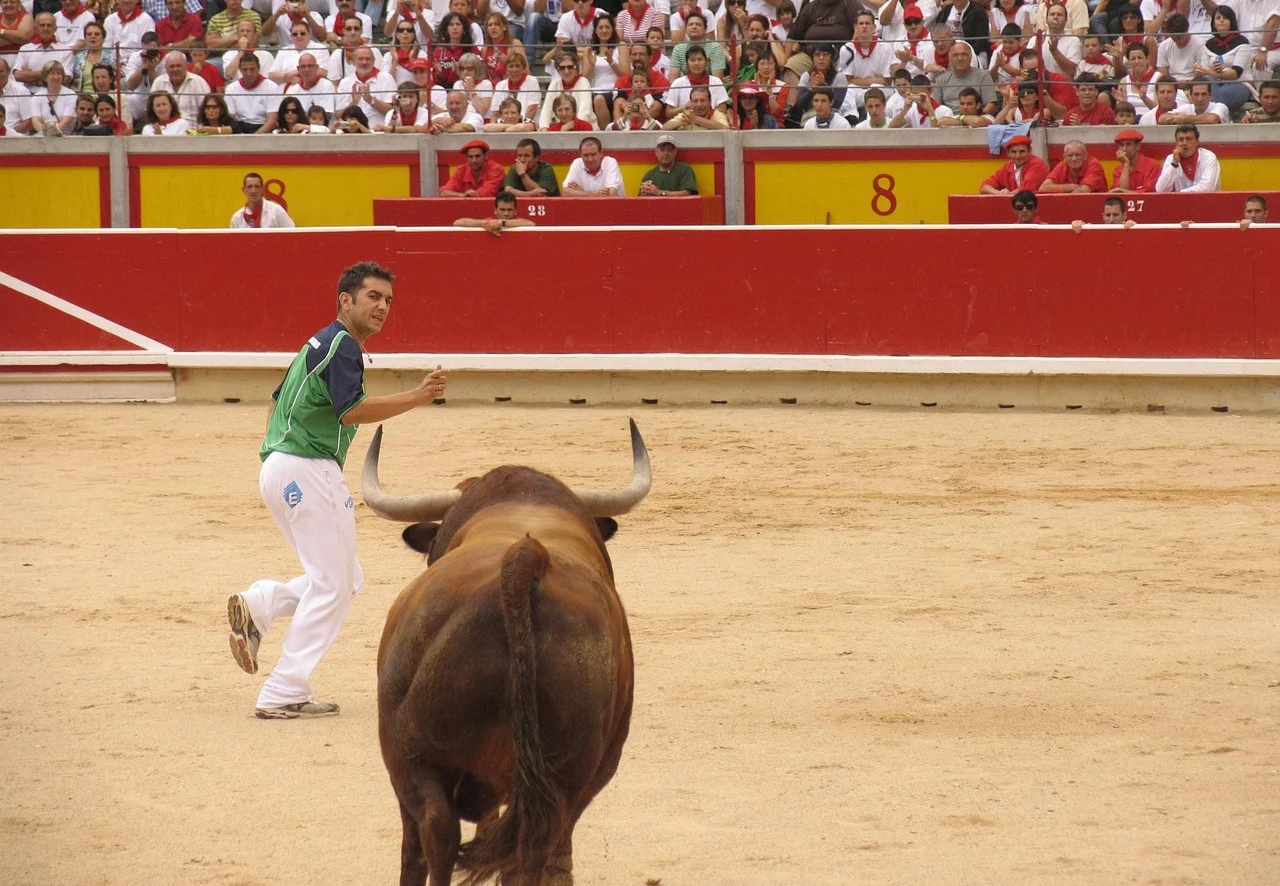 Recortador esquiva al toro durante un festejo taurino en una plaza de Toros de Pamplona con público.